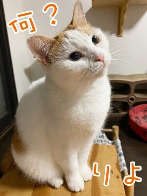 りよ310