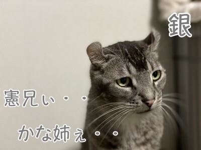 銀350