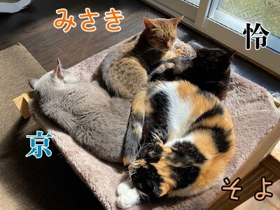 みんな1328