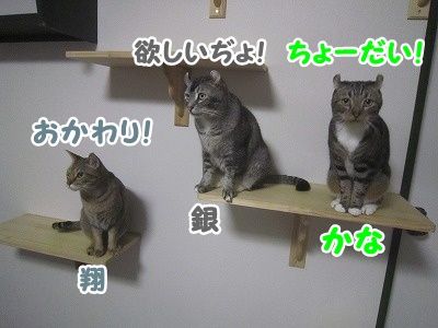 みんな (15)