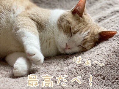 楓1122
