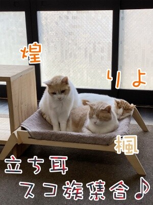 みんな2531