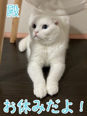 殿657