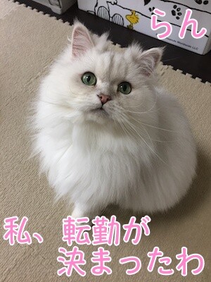 らん257