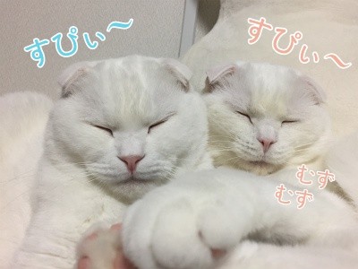 みんな1072