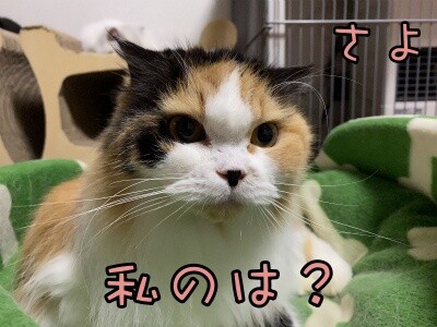 さよ69