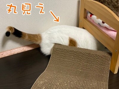 りよ267