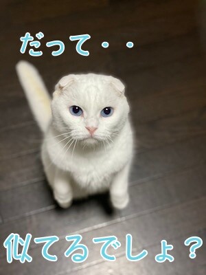 殿126