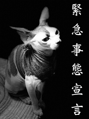 じゅり66