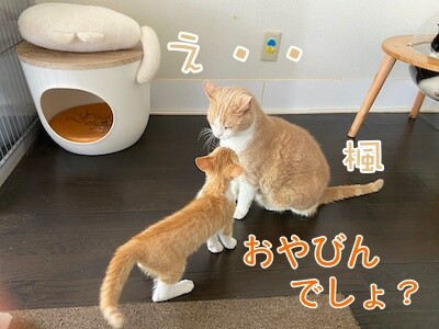 琢9