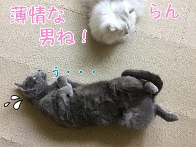 みんな1194