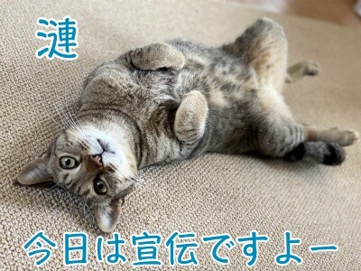 漣37