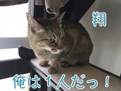 翔277