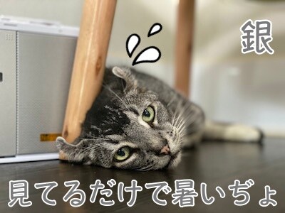 銀547