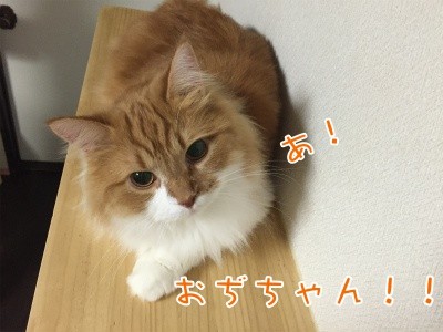 るひあ27