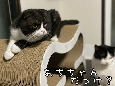 みんな1224