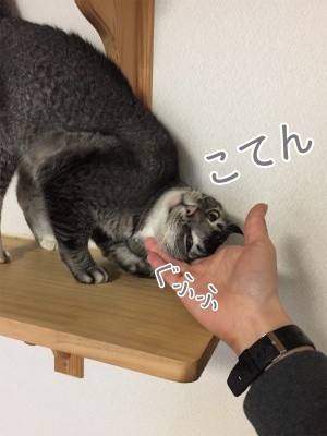銀129