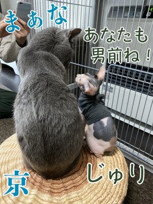 みんな1392