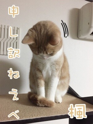 楓612