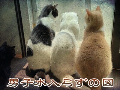 みんな2610
