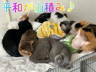 みんな617