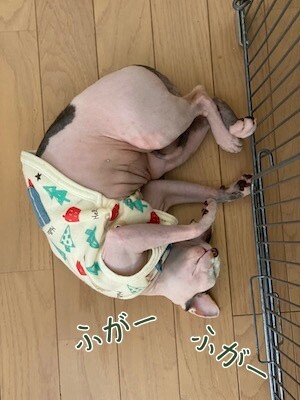 じゅり54