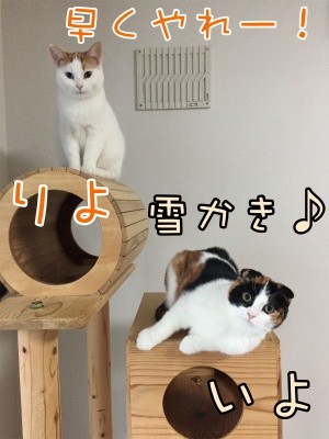 みんな806