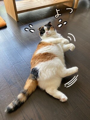いよ43