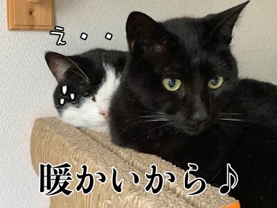 みんな2688
