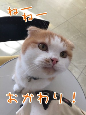 珠若184
