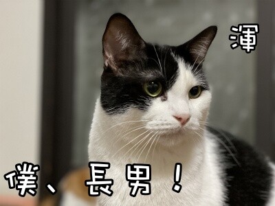 渾142