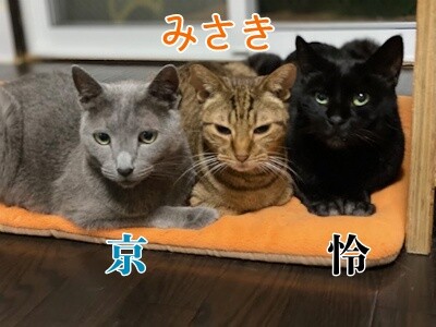 みんな2786