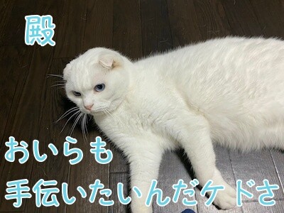殿189