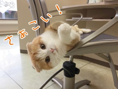 珠若372