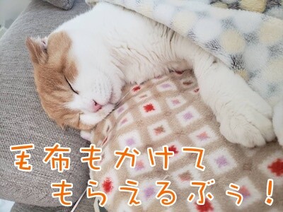 凌90