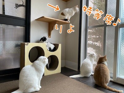 みんな183
