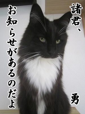 勇 (6)