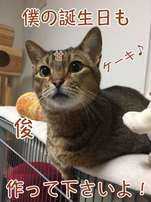 俊137