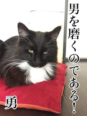 勇61
