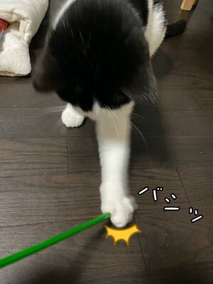 渾32