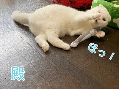 殿1022