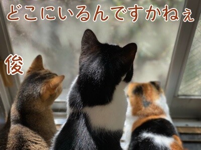 みんな2156
