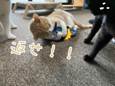 みんな1910