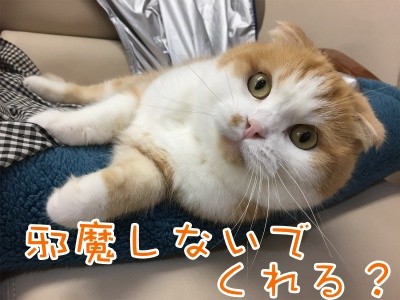 珠若469