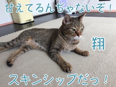 翔257