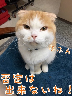 珠若248