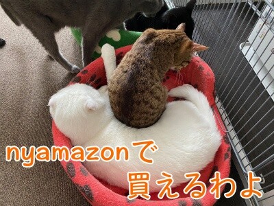 みんな2436
