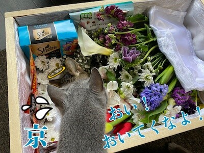 京5