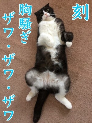 2020選挙9