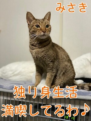 みさき382